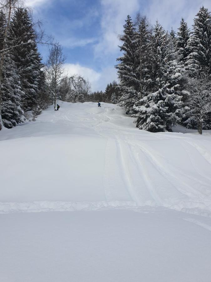 Chalet Chapeau Rar Castel Condino Kültér fotó