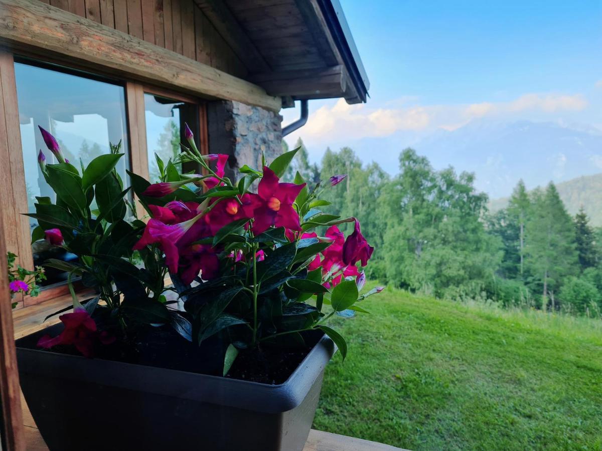 Chalet Chapeau Rar Castel Condino Kültér fotó